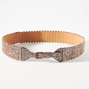 Anthropologie Hensler Glitter Tabby Belt
